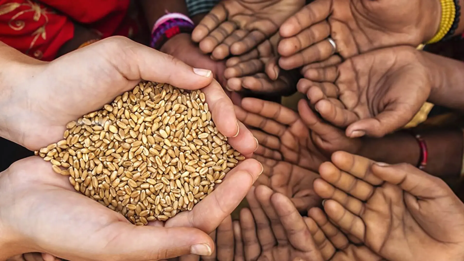 Zekat Ve Vacip Bağışlar